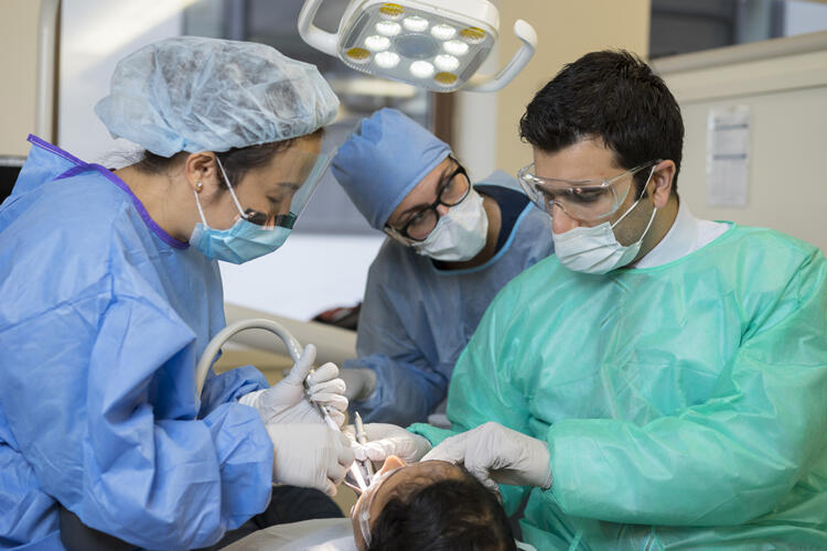 dentists working with patient