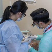Patient receiving dental treatment from dentists